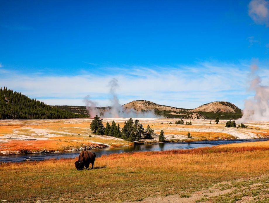 63263776-yellowstone