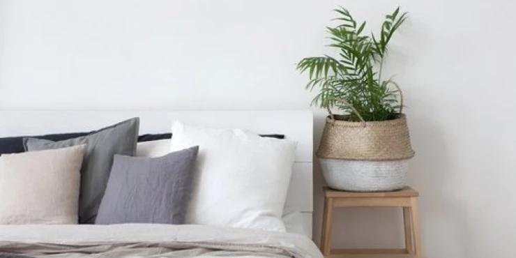 877141_shutterstock-640041676_m