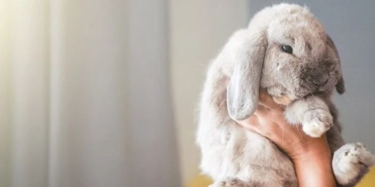 968672_shutterstock-2376671185_m 968672_shutterstock-2376671185_m