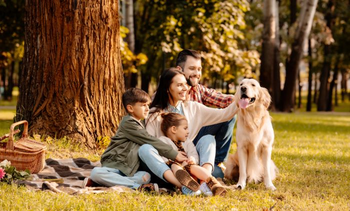 b3e33ef51d8b18a421f87e6ba1961b86c17f5eaa