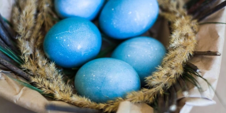 1144312_shutterstock-1695059047_m