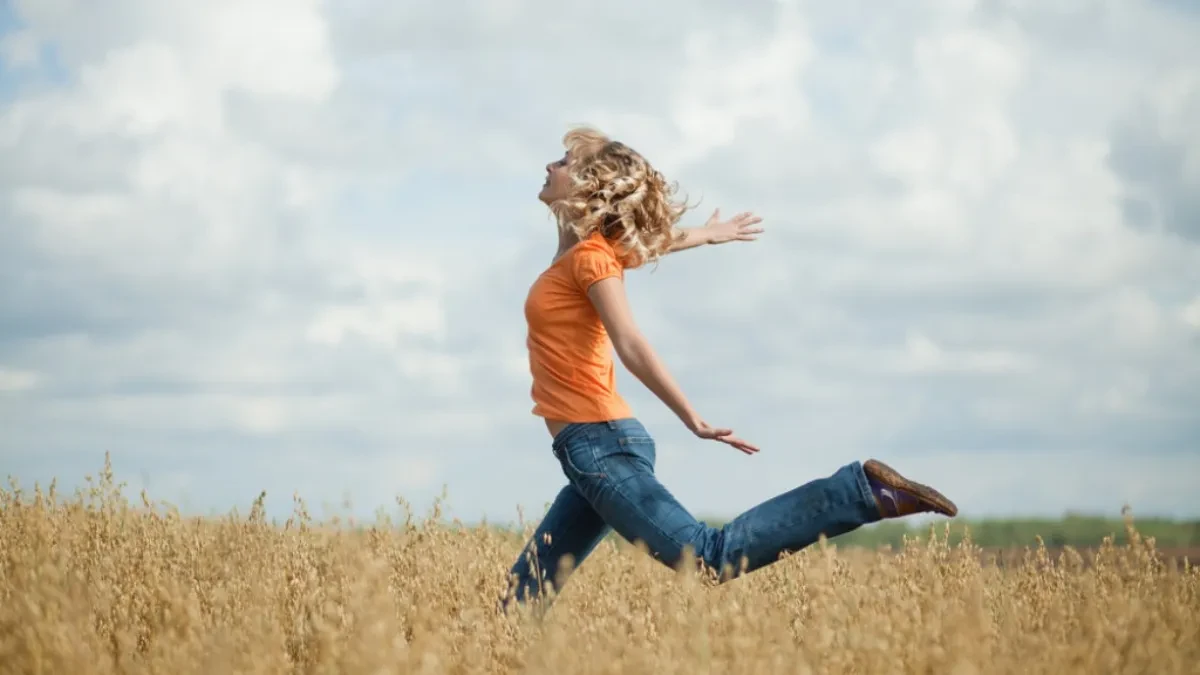 121334_shutterstock-83640508_iff