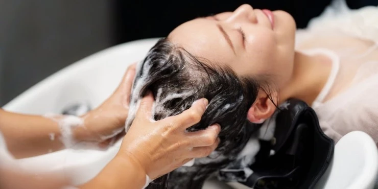 1266929_shutterstock-2504342625_m