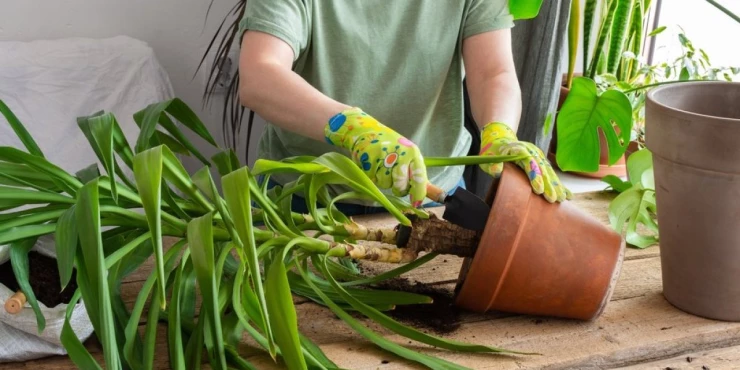 1278932_shutterstock-2019158465_m 1278932_shutterstock-2019158465_m