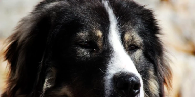 1341855_shutterstock-1320880388_m 1341855_shutterstock-1320880388_m