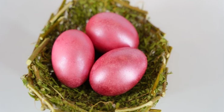 1342763_shutterstock-1693202023_m