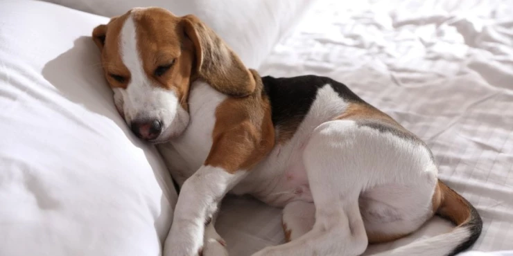 1344700_shutterstock-2473665539_m 1344700_shutterstock-2473665539_m