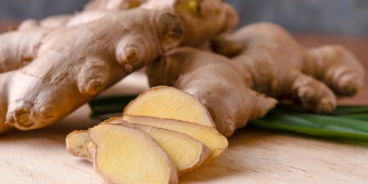 1346076_shutterstock-2622391535_m