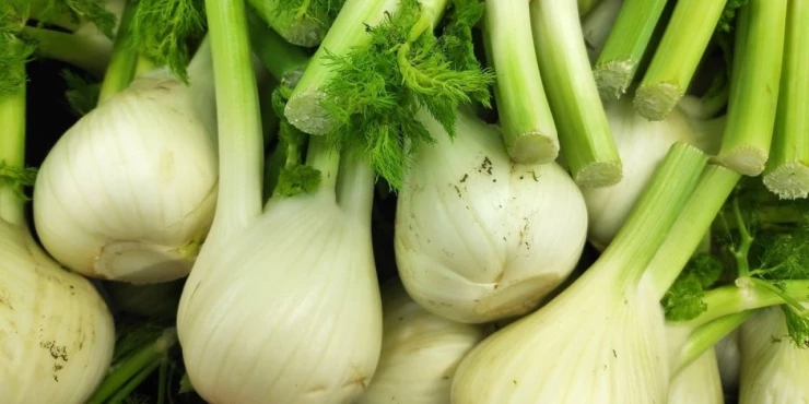 1346314_shutterstock-2434773303_m