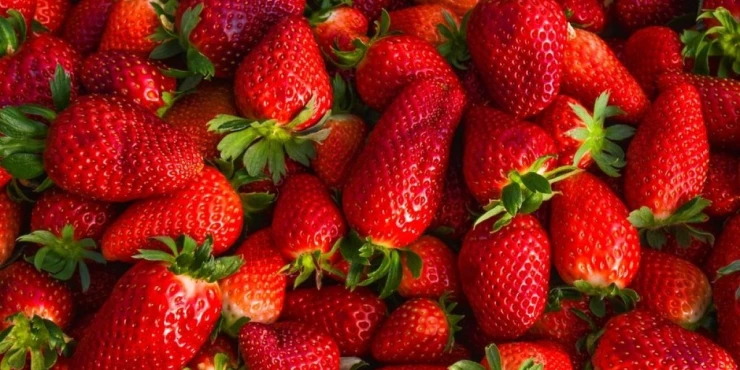 1346668_shutterstock-2605616589_m (1)