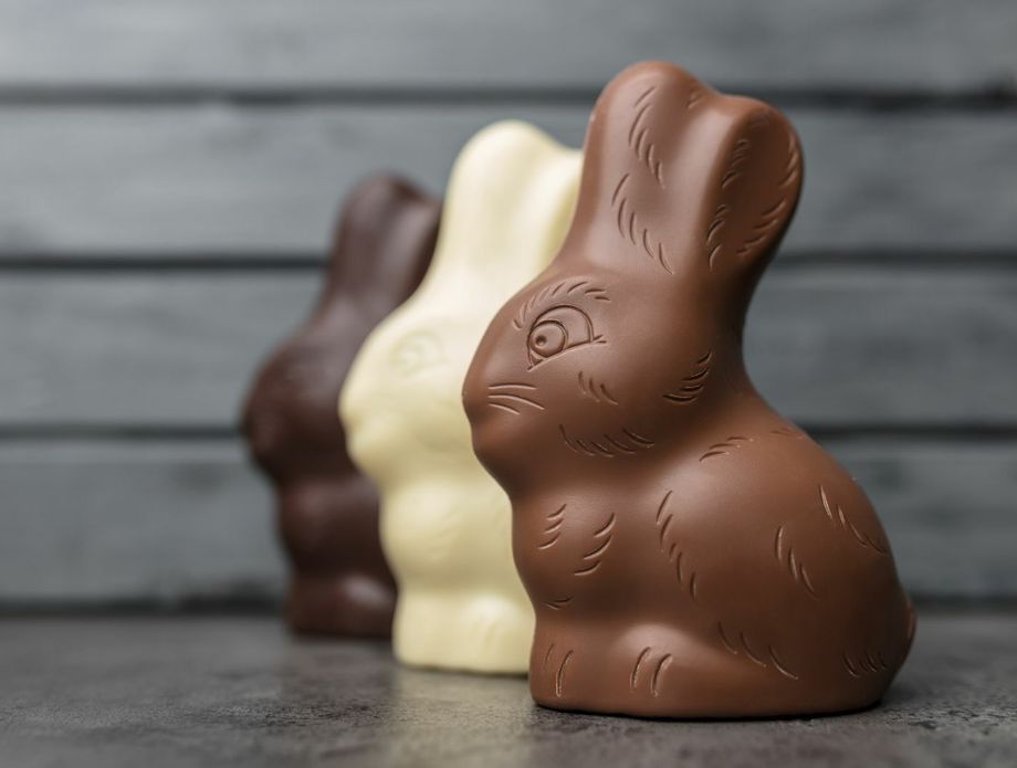 63286054-cokoladni-zec