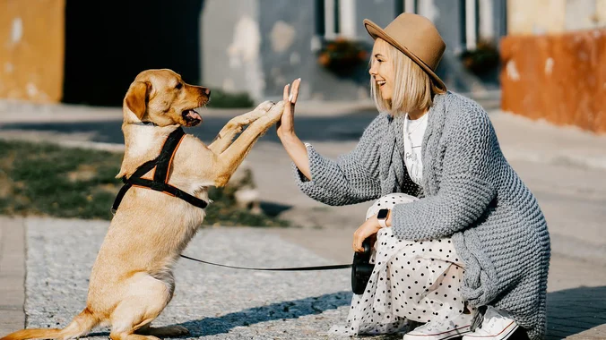 676 - 2026-04-08T203323.638