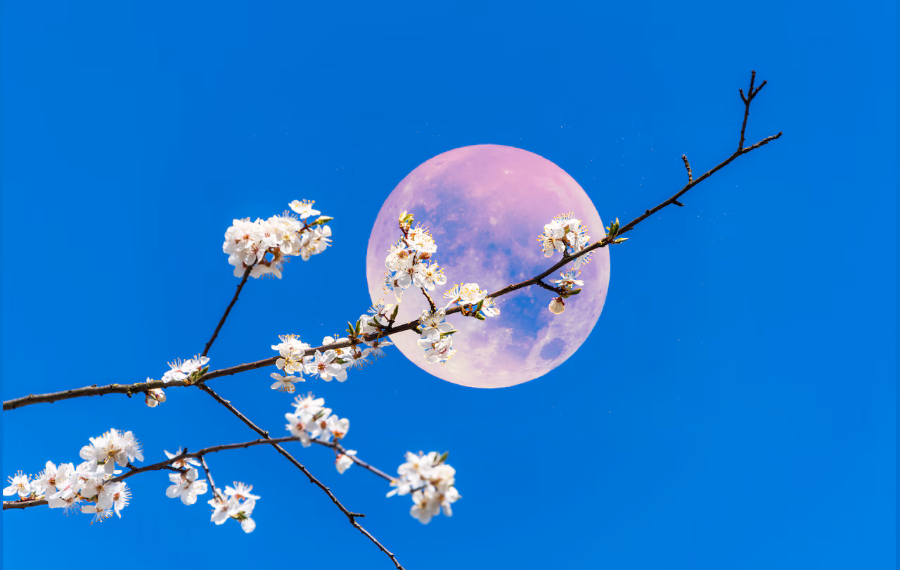 G36BS7UFHZF4LDIVXKHBAUCV64