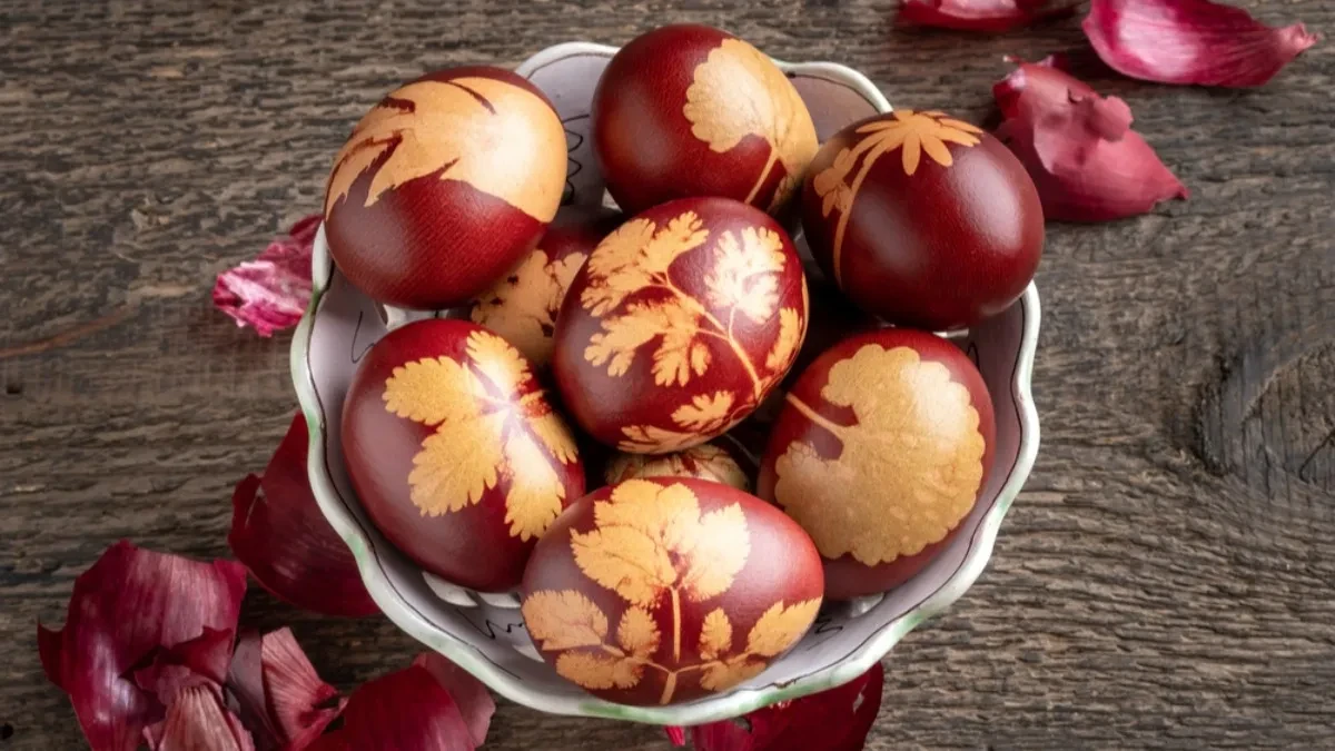 jaja-shutterstock_1867182730