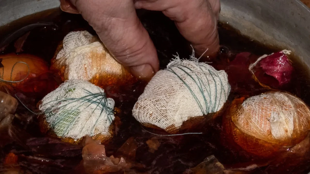 shutterstock_1645370842