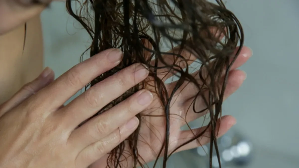 shutterstock_1770952223