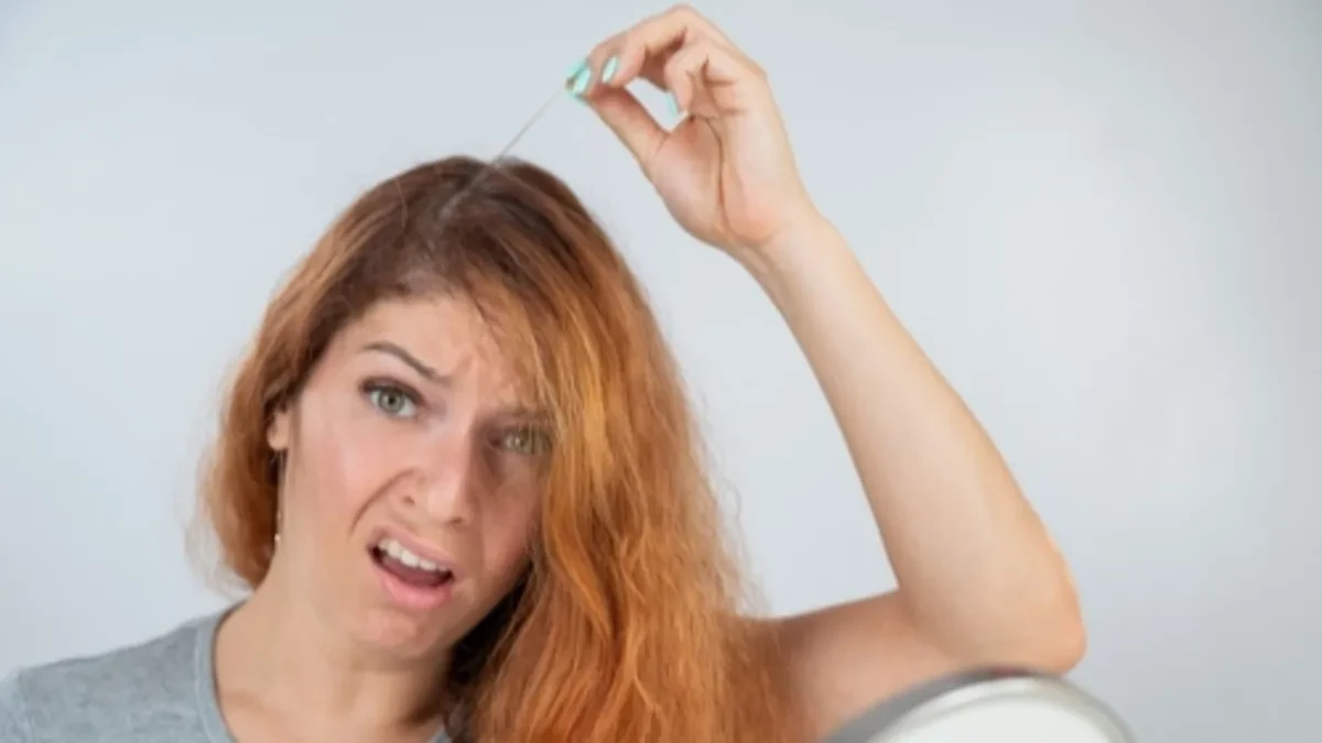 shutterstock_2054921219