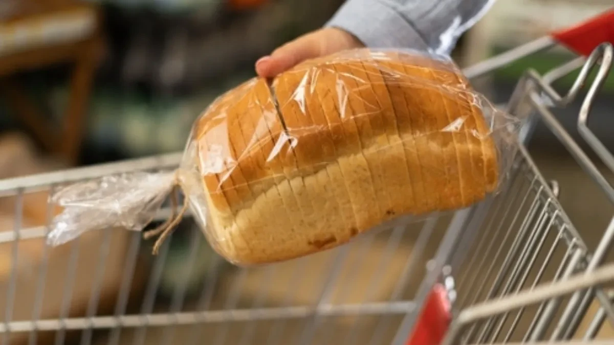 shutterstock_2356496189 shutterstock_2356496189