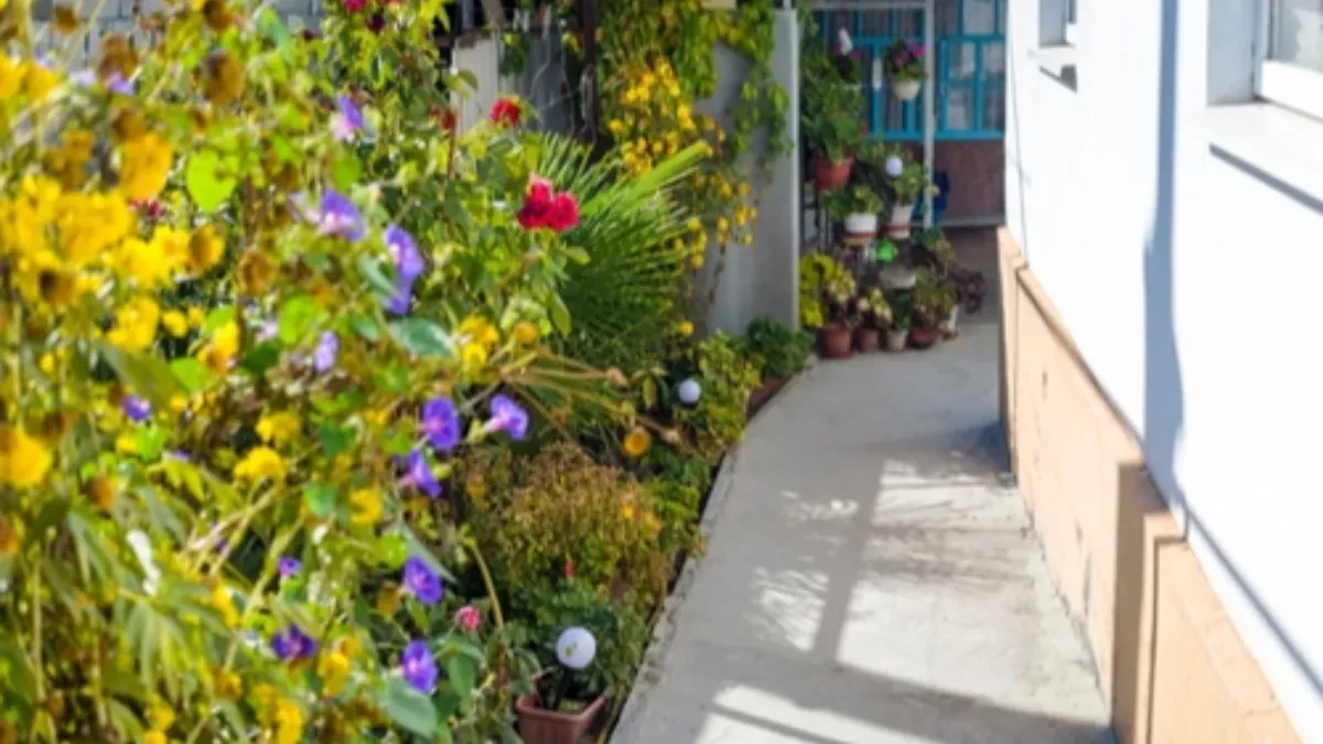 shutterstock_2682906121