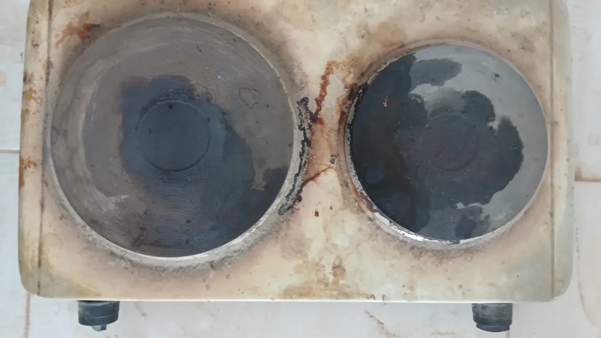 shutterstock_2751404635 shutterstock_2751404635