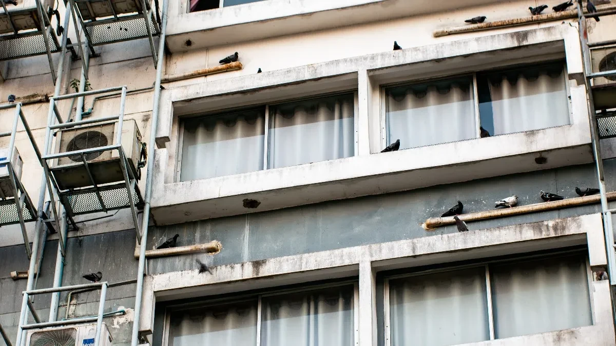 shutterstock_2767749749