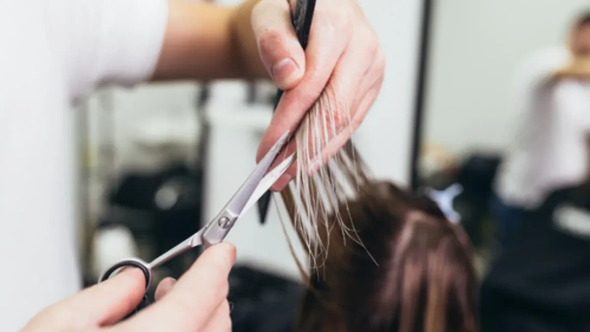 shutterstock_711308392