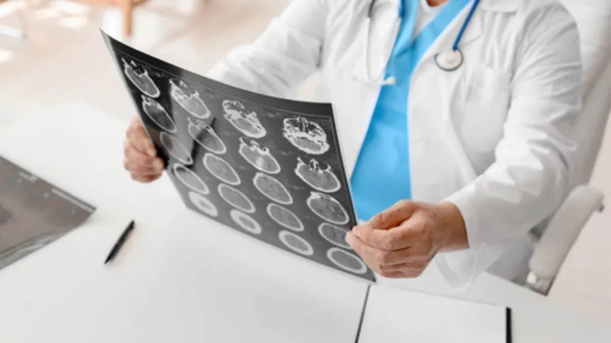 Невролог открил што според него е едно од најдобрите нешта за вашиот мозок Невролог открил што според него е едно од најдобрите нешта за вашиот мозок