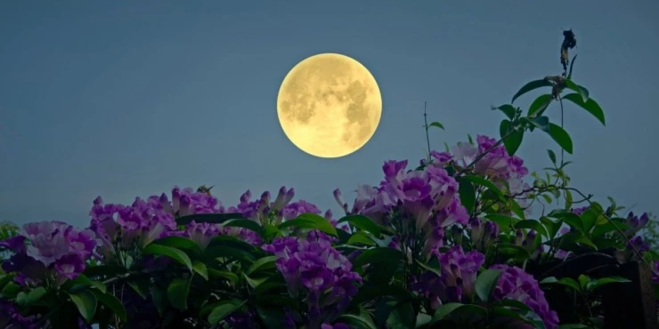 1348842_shutterstock-2400935969_m