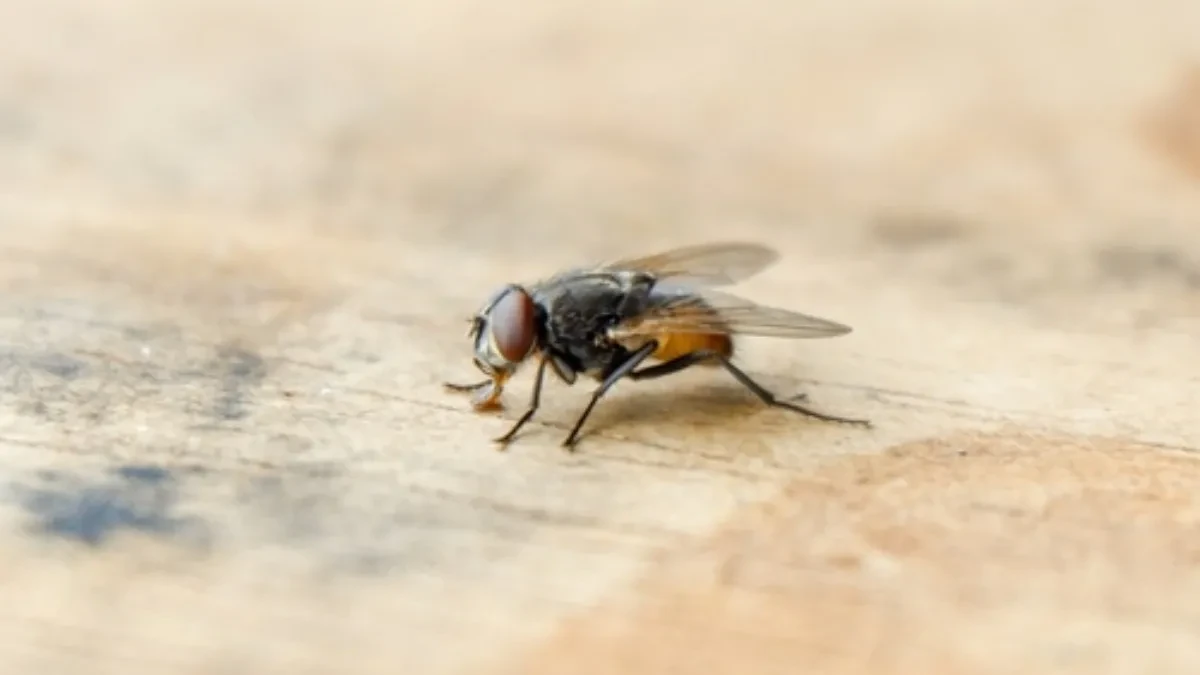 shutterstock_2486128665