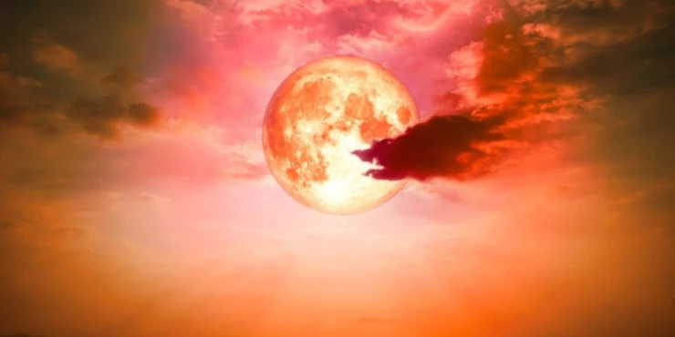 1125858_shutterstock-1076869877_m 1125858_shutterstock-1076869877_m