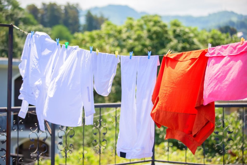 1266883_shutterstock-2429503589_iff 1266883_shutterstock-2429503589_iff