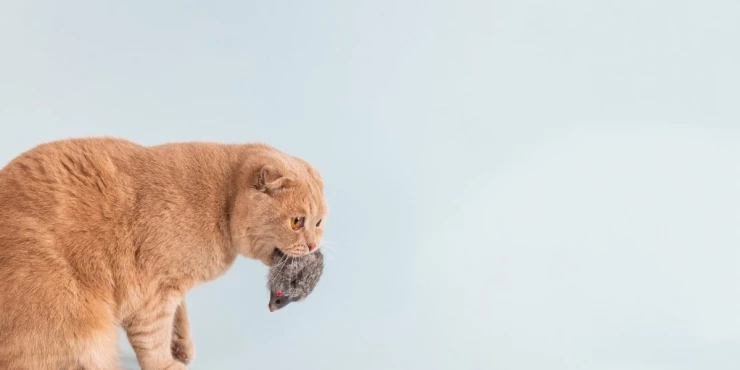 1375474_shutterstock-1664054824_m 1375474_shutterstock-1664054824_m