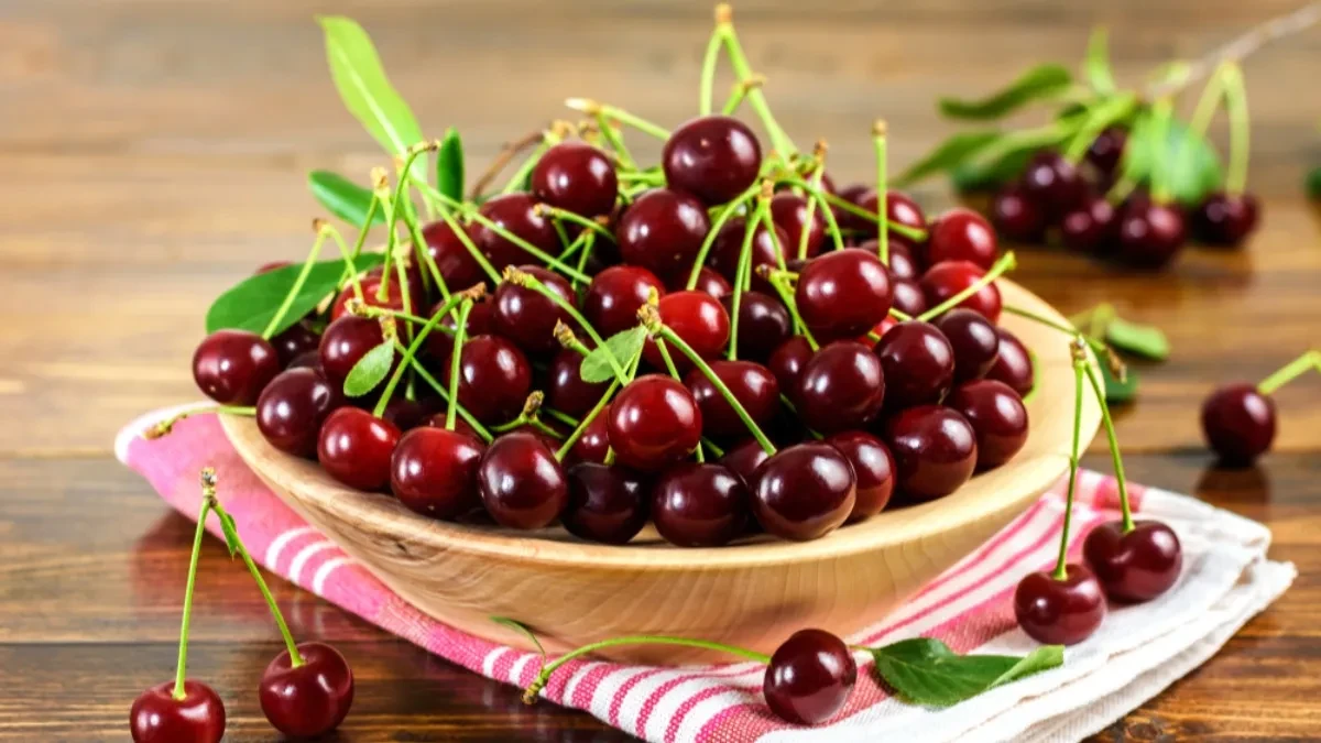 visnje-shutterstock_1426263971