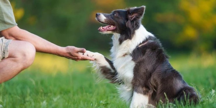 1418444_shutterstock-2633146745_m 1418444_shutterstock-2633146745_m