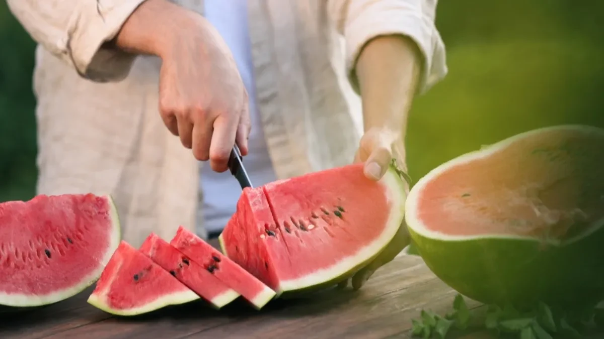 shutterstock_2235197087