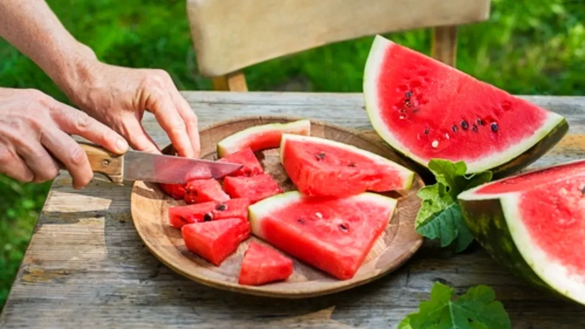 shutterstock_2827889549