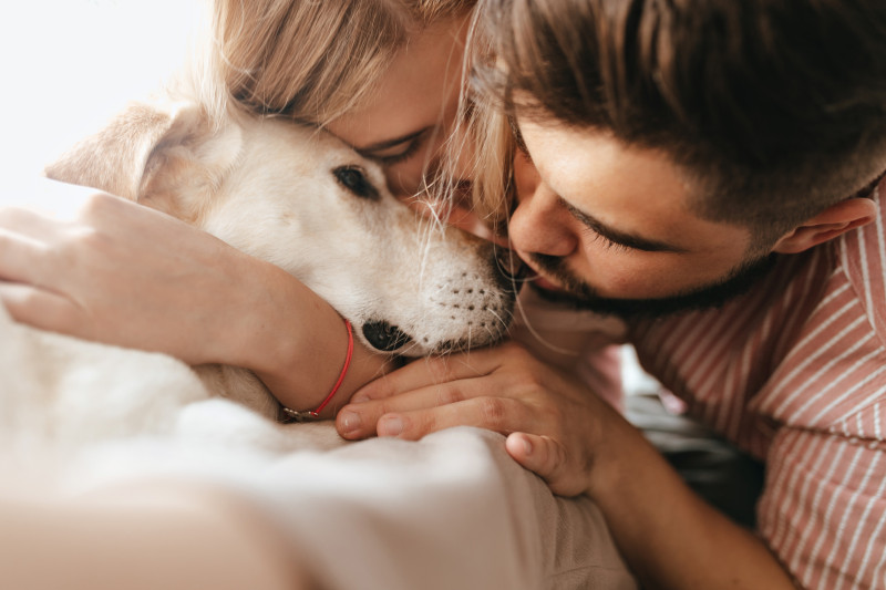 dark-haired-man-blond-woman-lovingly-hug-their-labrador-portrait-close-up-couple-playing-with-dog