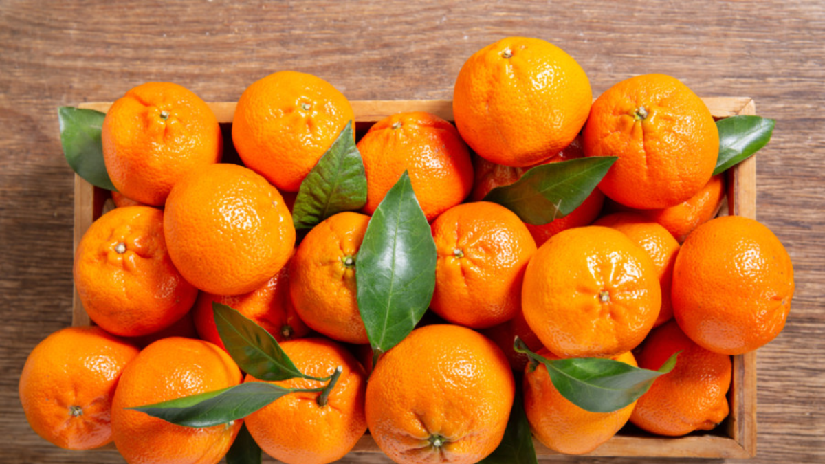 mandarine mandarine