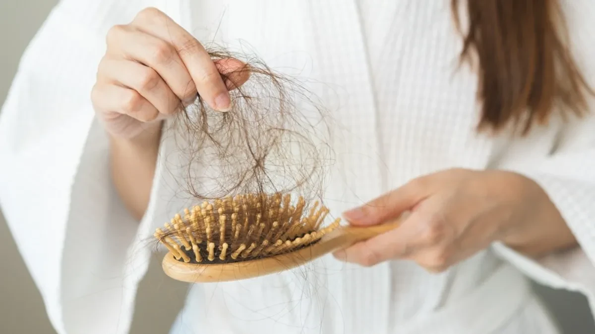 shutterstock_2495156283 shutterstock_2495156283