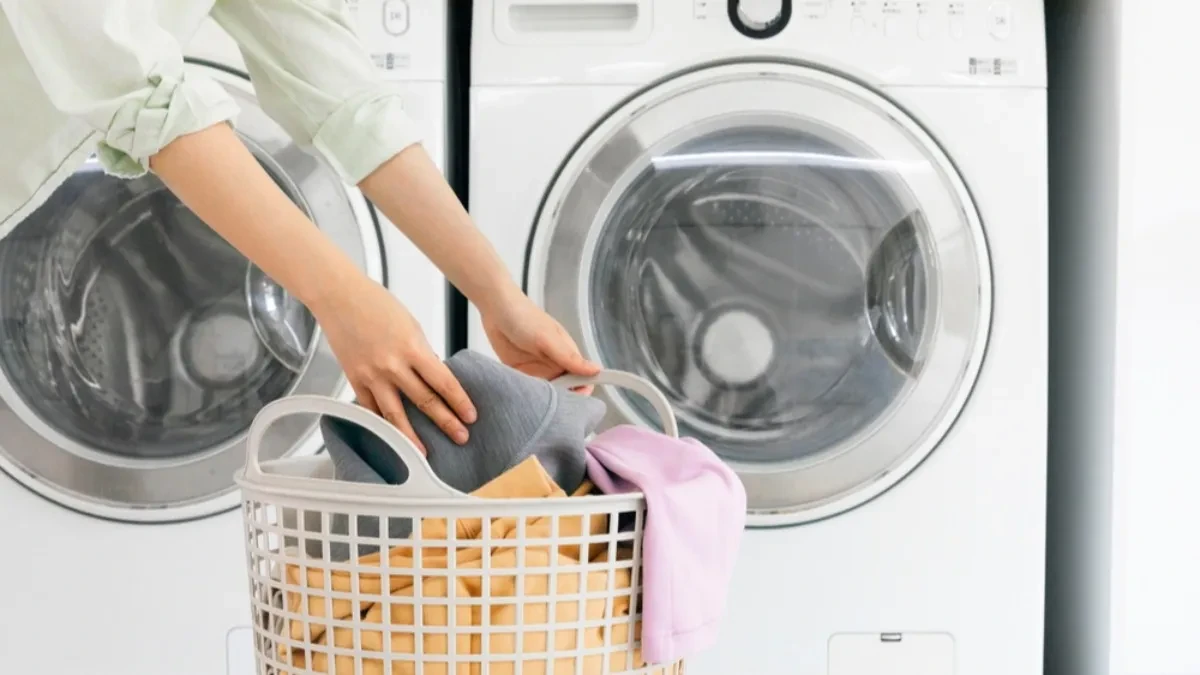 shutterstock_2540774543