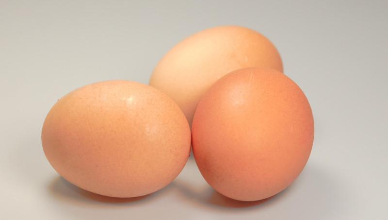 taken-eggs-541763_1920 taken-eggs-541763_1920